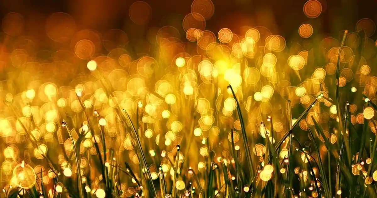 Acer Monitörleri: Yüksek Kalite ve Gelişmiş Özelliklerle Çeşitli Kullanım Alanları