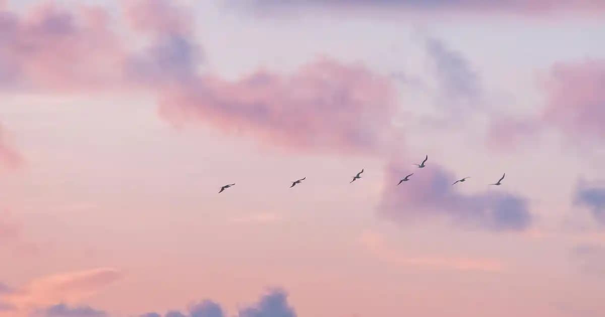 2025'te Ambilight Teknolojisiyle Ev Sinema Keyfiniz Değişecek