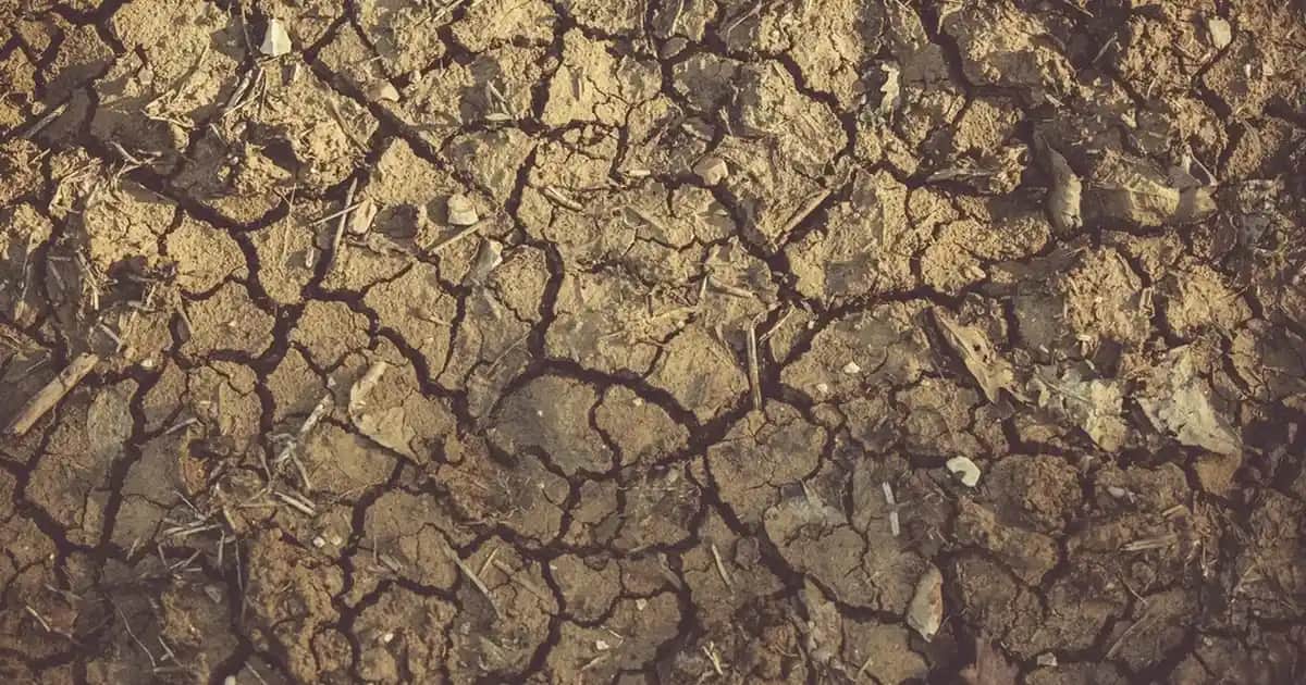 ASUS TUF Gaming F15 FX506HC: Güçlü Donanımı ve Uygun Fiyatıyla Oyun Dizüstü Bilgisayarı