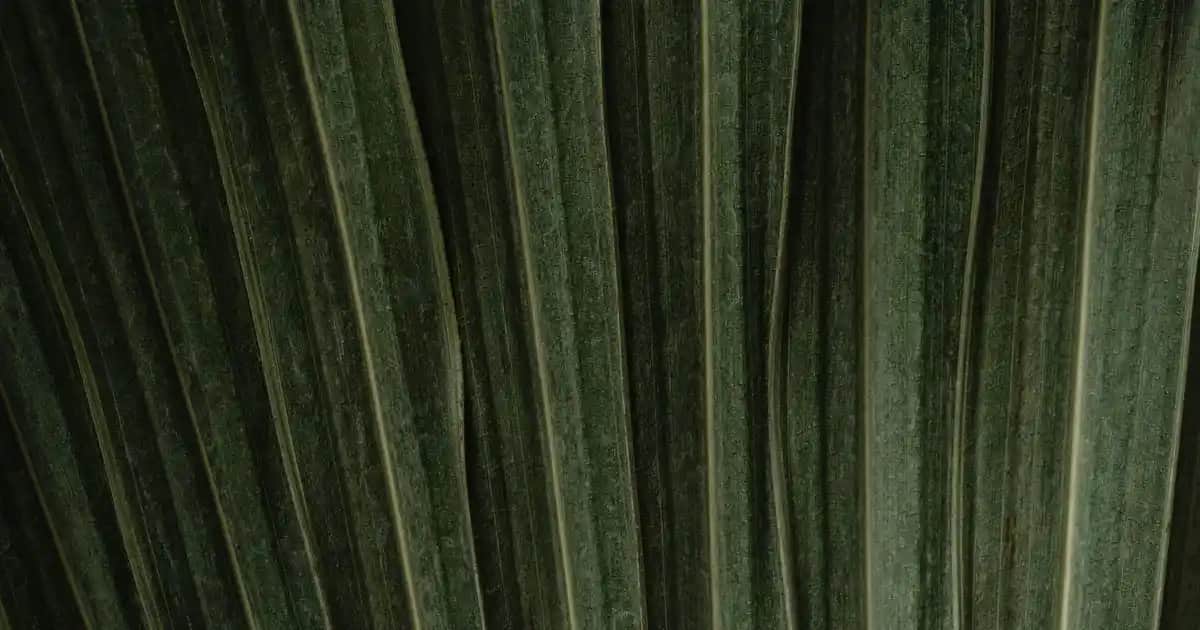 Braun Pro 3 Erkek Bakımında Yenilikçi ve Güçlü Tıraş Çözümü