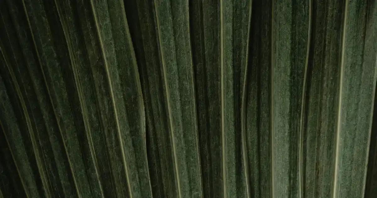 Braun Pro 3 Erkek Bakımında Yenilikçi ve Güçlü Tıraş Çözümü