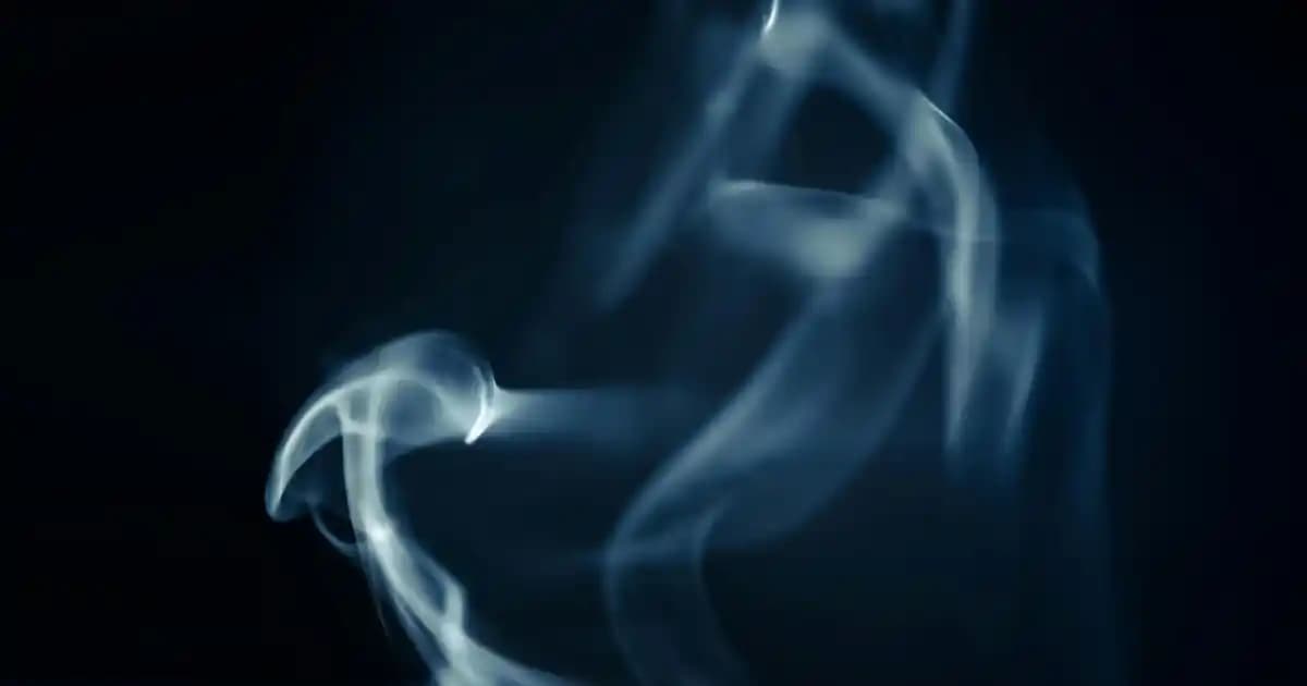 F710 Kablosuz Oyun Kontrolörü ve Elektronik Aksesuarları: Güncel Trendler ve Kullanım Alanları