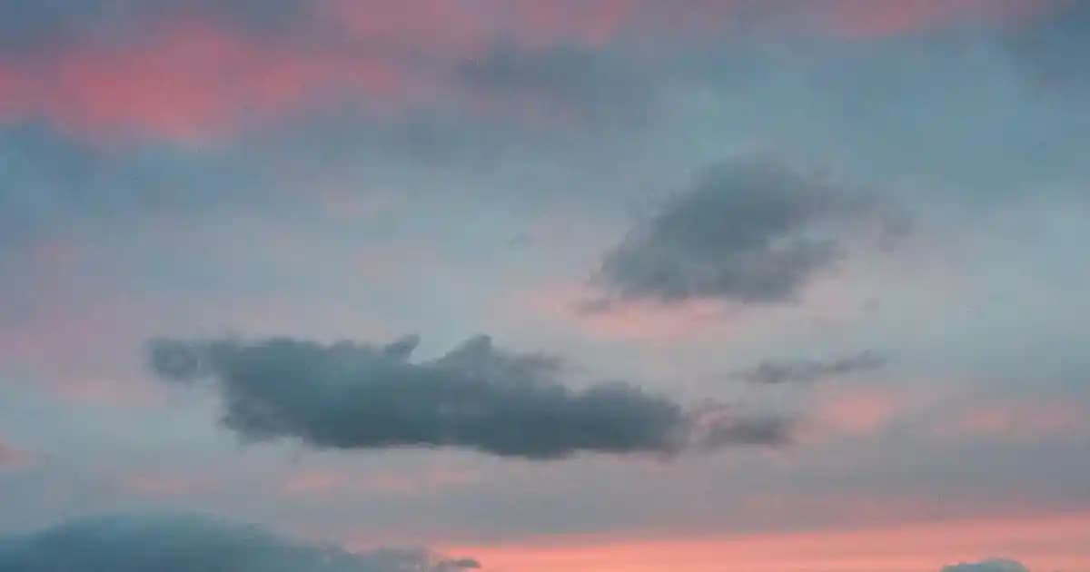 Hayvanlarla Dijital İletişim: En Güncel Uygulamalar ve Teknolojik Gelişmeler