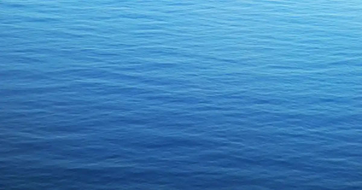 Elektronik Cihazlar İçin Güvenilir ve Uygun Şarj Adaptörleri Rehberi