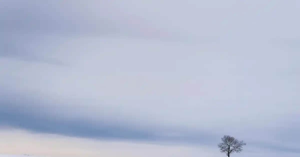 JBL Clip 3 Taşınabilir Bluetooth Hoparlörleriyle Mobil Müzik Deneyimini Yükseltin