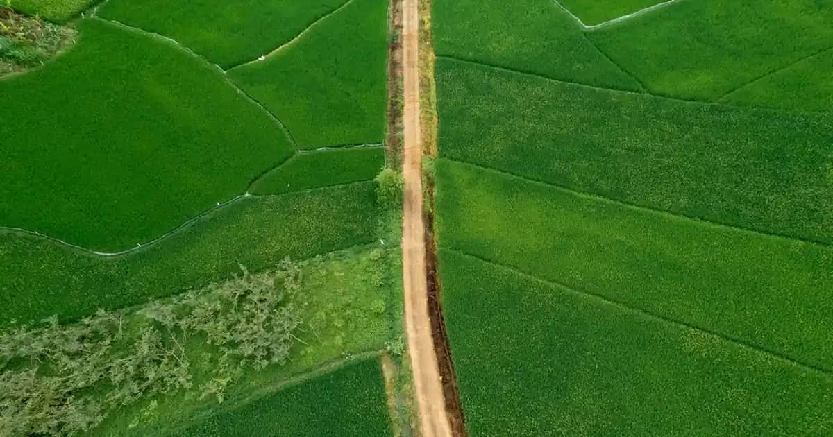 JBL Flip Essential 2 Taşınabilir Bluetooth Hoparlör Özellikleri ve Kullanıcı Yorumları