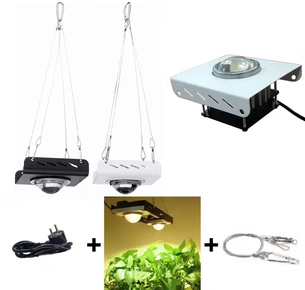 LED Bitki Yetiştirme Lambaları: Enerji Verimli ve Sağlıklı Bitki Bakımı Çözümü