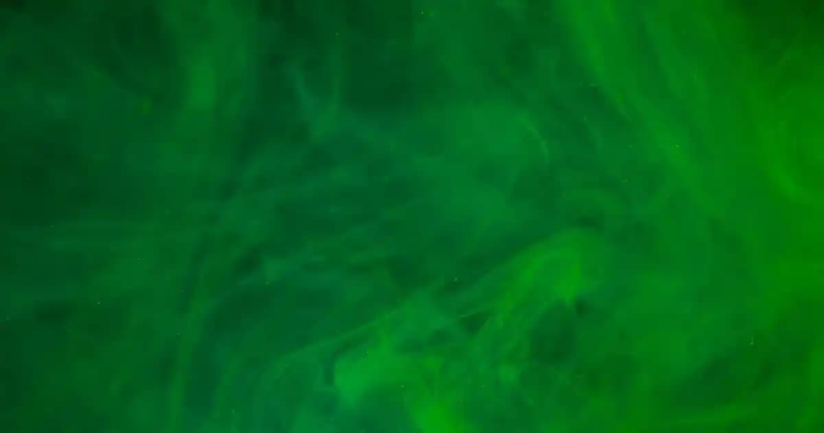 Lexar 128GB Bellekler: Güvenilir ve Yüksek Performanslı Depolama Çözümleri