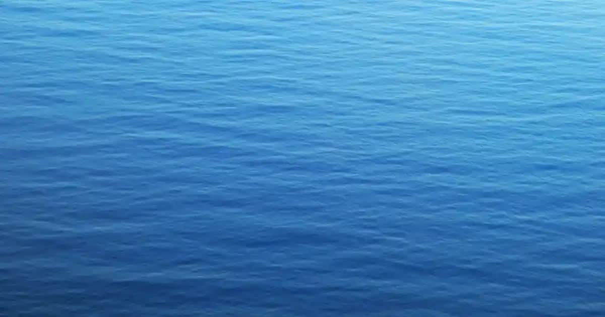 Realme 5i için koruma ve şıklık sağlayan en iyi kılıf seçenekleri