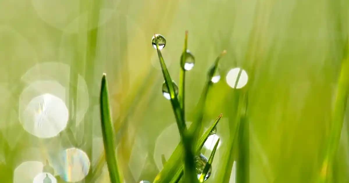 Samsung Galaxy S21 FE 5G Teknik Özellikleri ve Kullanıcı Avantajları