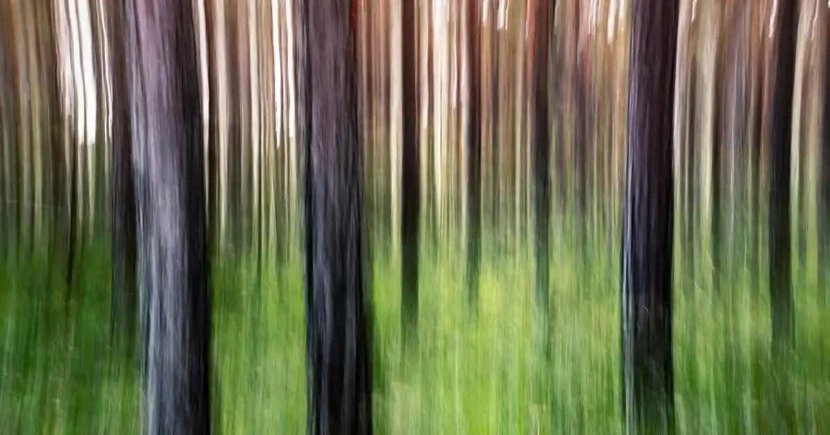 Samsung M31s Akıllı Telefon Özellikleri ve Kullanıcı Yorumları