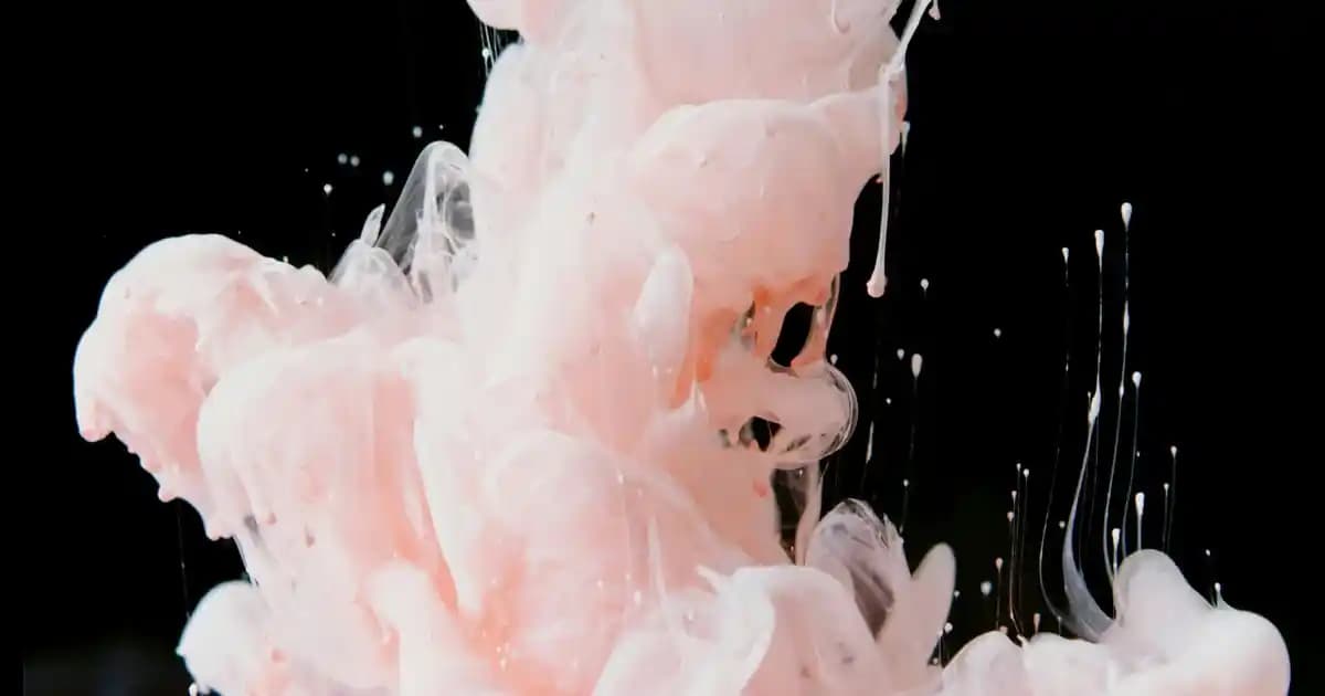 Xbox Series X için En İyi Kontrolör ve Aksesuar Seçenekleri Rehberi