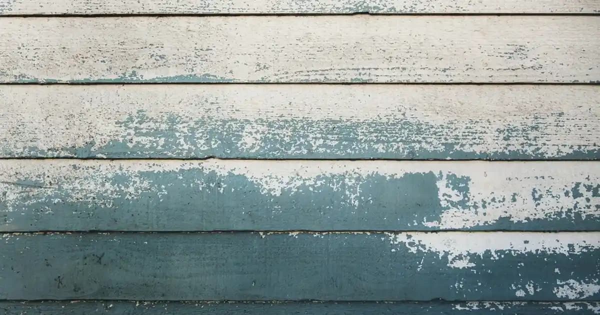 Zoom H8: Çok Yönlü Ses ve Kayıt Çözümünün Profesyonel Kullanımı ve Özellikleri